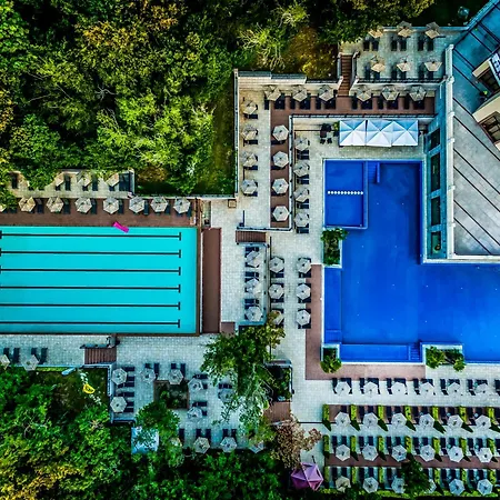 Sh Dolce 4* Złote Piaski