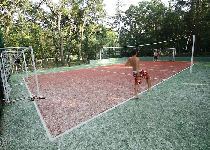 Sh Dolce Golden Sands